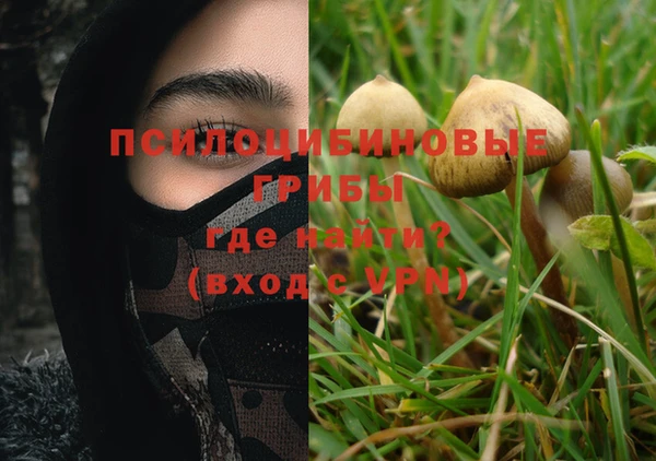 не бодяженный Верхний Тагил