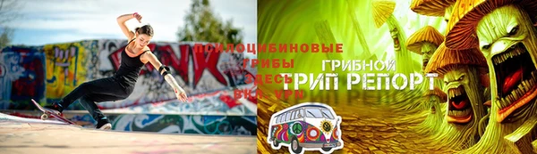 ГАЛЛЮЦИНОГЕННЫЕ ГРИБЫ Семикаракорск